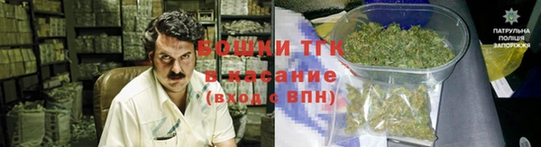 PSILOCYBIN Сафоново