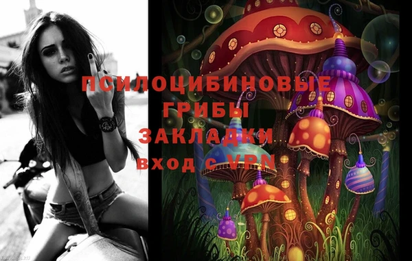 PSILOCYBIN Сафоново