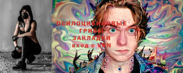 PSILOCYBIN Сафоново