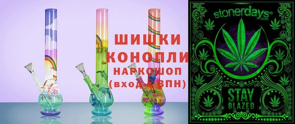 ГАЛЛЮЦИНОГЕННЫЕ ГРИБЫ Семёнов