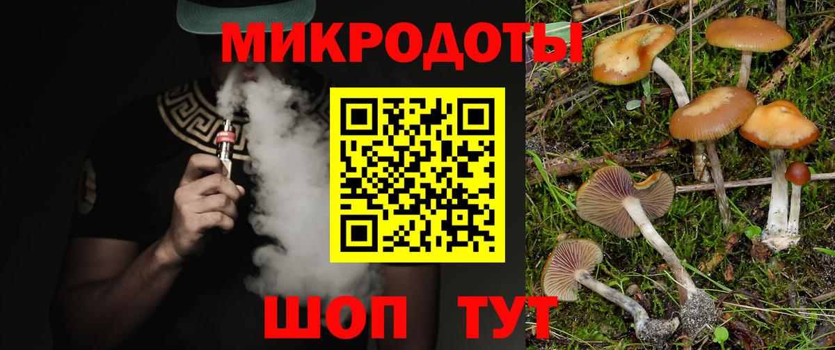 Псилоцибиновые грибы Psilocybe  Домодедово 
